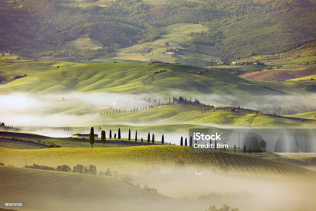 Paisagem Ondulada com manhã de nevoeiro, Toscana, Itália - Royalty-free Pienza Foto de stock