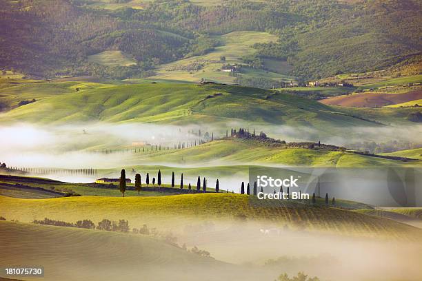 Paisagem Ondulada Com Manhã De Nevoeiro Toscana Itália - Fotografias de stock e mais imagens de Pienza