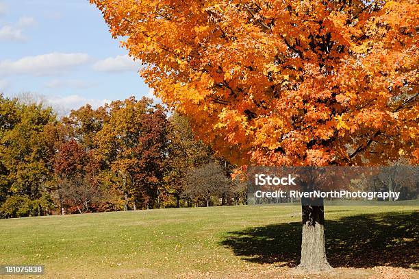 秋にミシガン - カエデのストックフォトや画像を多数ご用意 - カエデ, マコム郡, ミシガン州