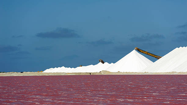 istock saltplain on the island of bonaire 181075858