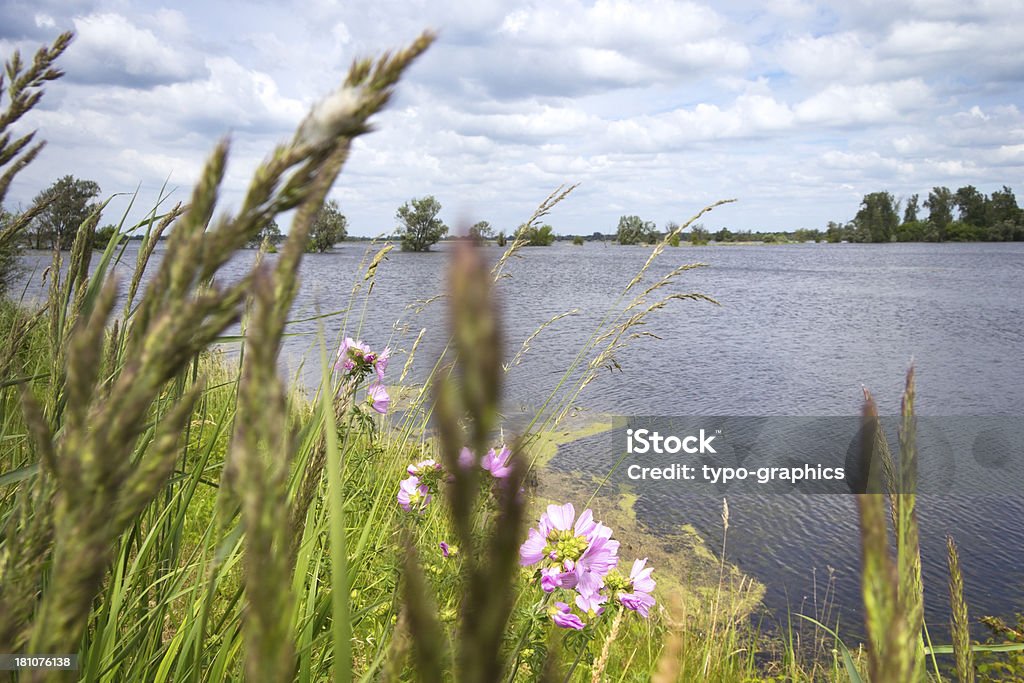 Great Flood at the Havel River Great Flood at the Havel River in June 2013 near the village Strodehne because of the flood of the Elbe River. The Havel River is a lowland river in Brandenburg (Germany). Brandenburg State Stock Photo