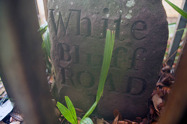 istock historical  White Bluff Road sign 181076274