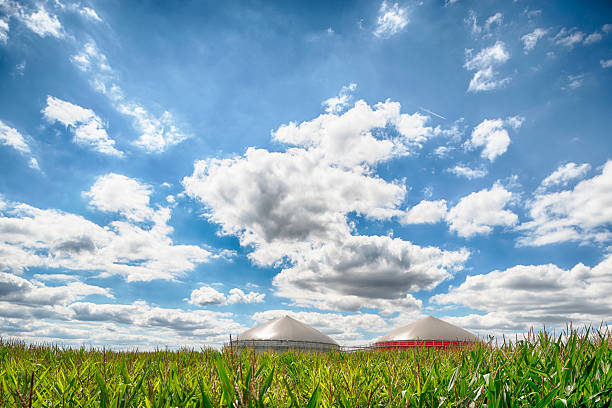 usina de energia com biomassa cloudscape sob grande - nachhaltig - fotografias e filmes do acervo