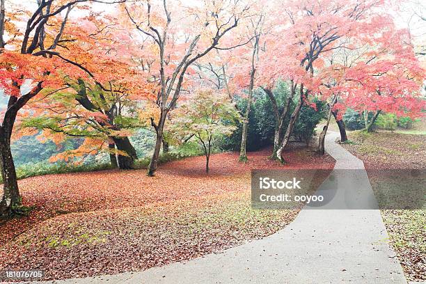 Foto de Misty Outono Caminho e mais fotos de stock de Beleza natural - Natureza - Beleza natural - Natureza, Cor Vibrante, Dia