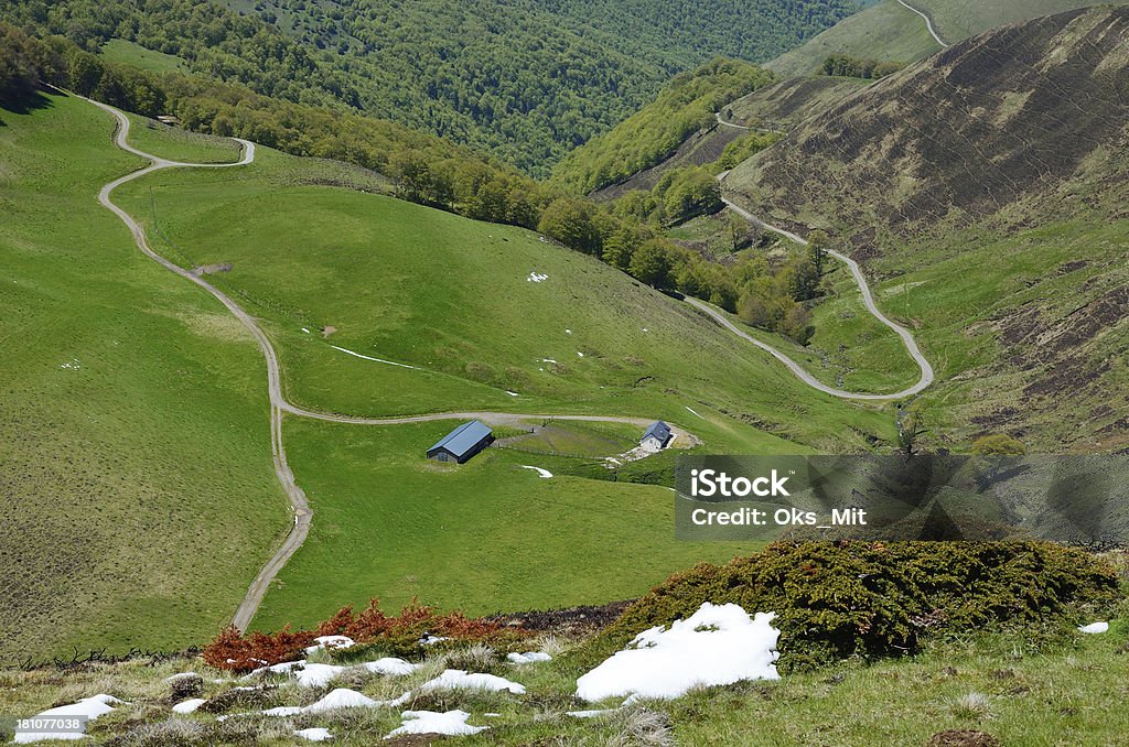 Pentes verdoyantes de printemps Pyrénées - Photo de Chemin de terre libre de droits