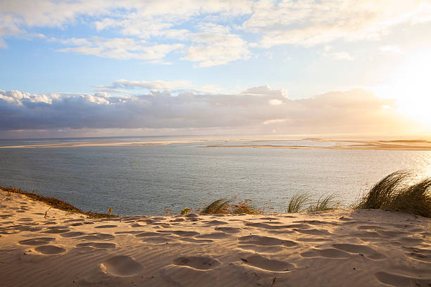 arcachon, france - sandrör bildbanksfoton och bilder