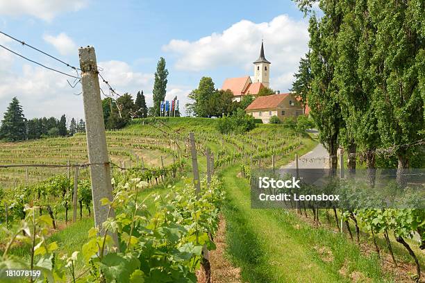 Weinberge Jeruzalem Stockfoto und mehr Bilder von Agrarland - Agrarland, Baum, Blau