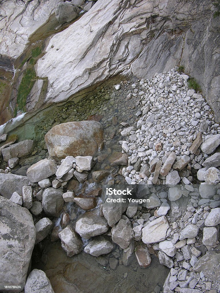 Thalweg - Photo de Animaux à l'état sauvage libre de droits