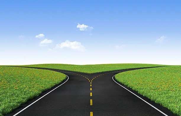 Photo of Picture of a fork in the road surrounded by green grass