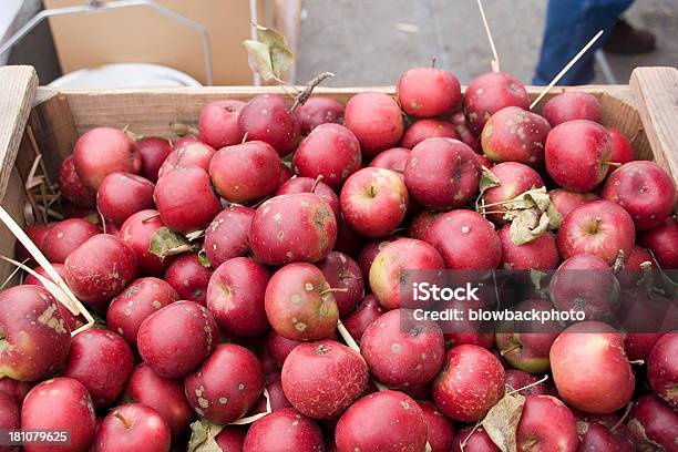 ファーマーズマーケットローマのりんご - オーガニックのストックフォトや画像を多数ご用意 - オーガニック, カリフォルニア州 サンフランシスコ, カリフォルニア州北部