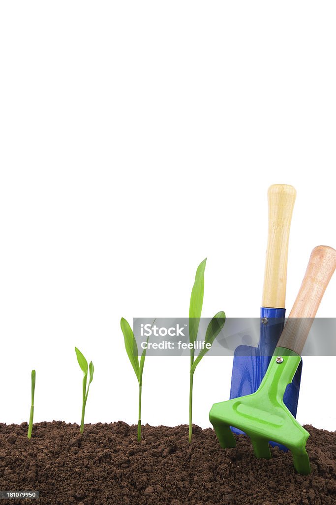 Sequência de ferramenta de jardinagem e a planta, isolado no fundo branco - Foto de stock de Agricultor royalty-free