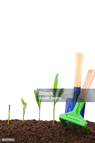 Foto de Sequência De Ferramenta De Jardinagem E A Planta Isolado No Fundo Branco e mais fotos de stock de Agricultor