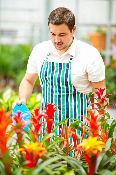 istock Male Florist Watering Flowers. 181080947