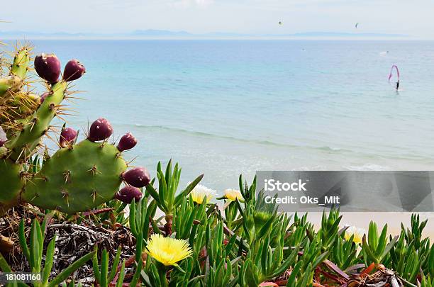 Foto de Praia Valdevaqueros Primavera e mais fotos de stock de Andaluzia - Andaluzia, Atividade Recreativa, Azul