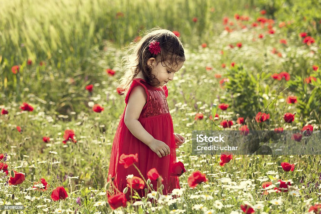 Petite fille dans le jardin de fleurs - Photo de 2-3 ans libre de droits