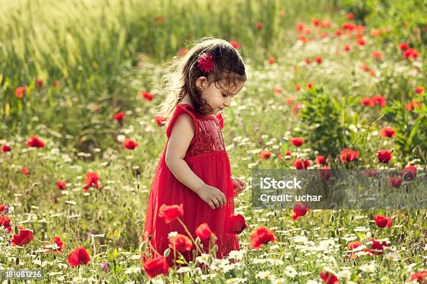 Bambina Nel Giardino Di Fiore - Fotografie stock e altre immagini di 2-3 anni - 2-3 anni, Allegro, Ambientazione esterna