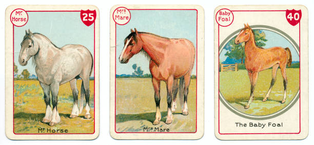 istock Three horse cards Victorian animal families game 181081409
