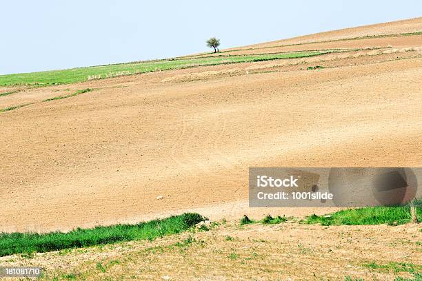 Foto de Campo Verde E Unplowed Área e mais fotos de stock de Agricultura - Agricultura, Ajardinado, Ancara - Turquia