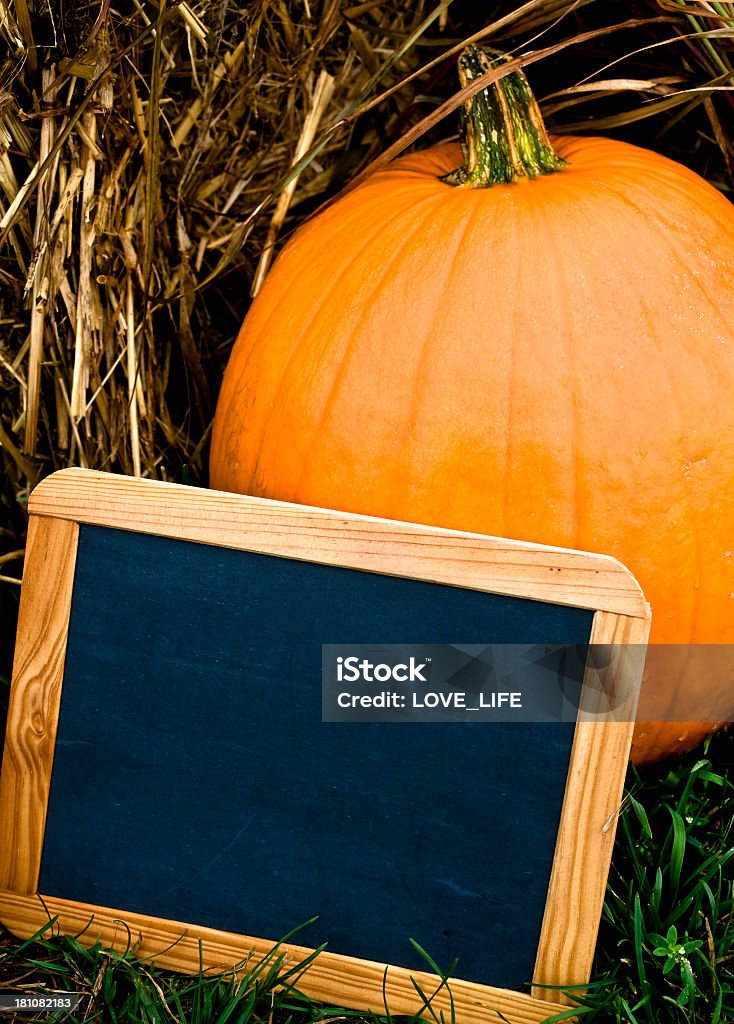 Pumpkin Pumpkin and blank chalk board.  Autumn Stock Photo