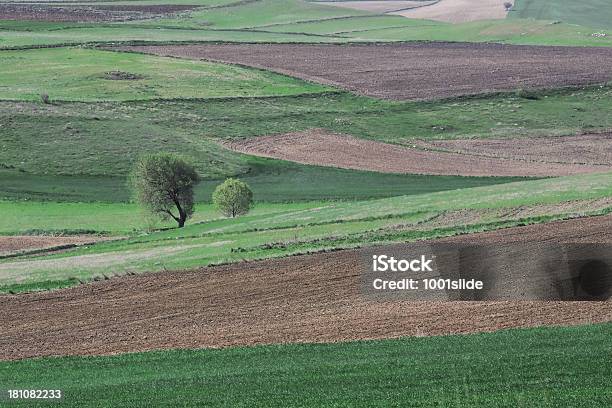 Green Field And Unplowed Area Stock Photo - Download Image Now - Acre - Brazil, Agricultural Field, Ankara - Turkey