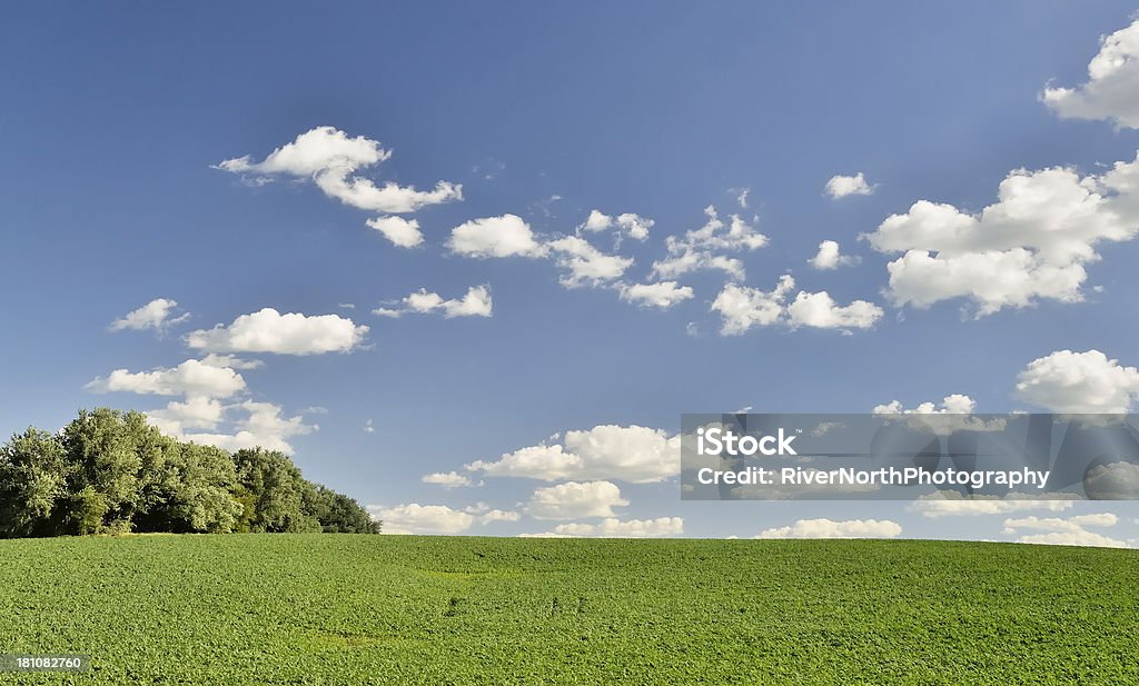 Terras cultiváveis ondulantes, Iowa - Foto de stock de Cena Rural royalty-free