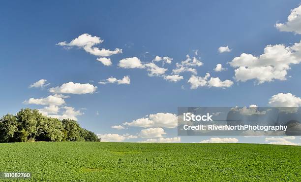 Foto de Terras Cultiváveis Ondulantes Iowa e mais fotos de stock de Cena Rural - Cena Rural, Iowa, Agricultura