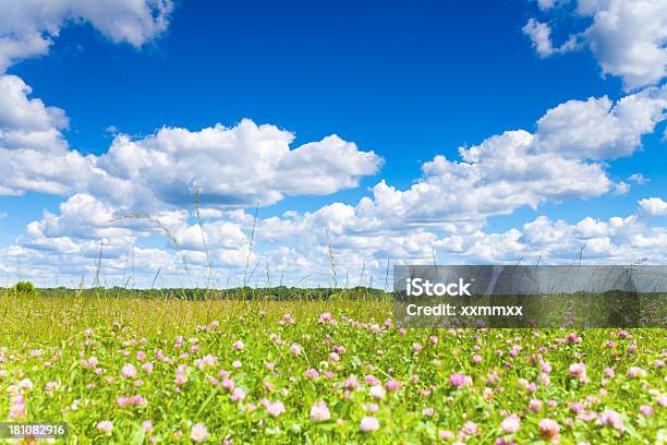 Pradera Y Cielo Foto de stock y más banco de imágenes de Agricultura - Agricultura, Aire libre, Ajardinado