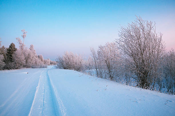 zima. western siberia. - yamal peninsula winter tony snow cold zdjęcia i obrazy z banku zdjęć