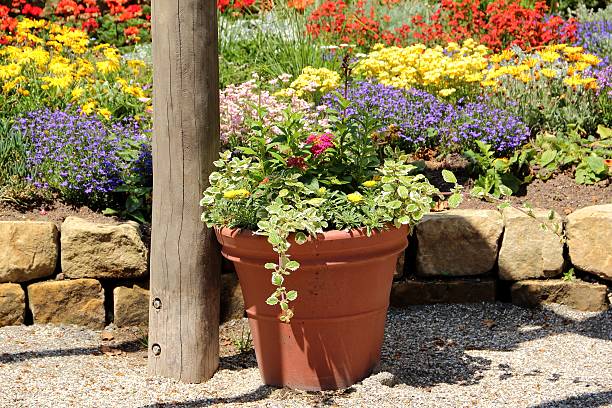 istock Beautiful flower garden 181083572