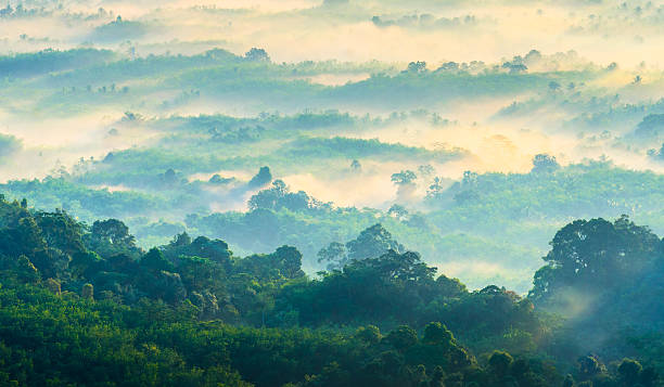 istock Beautiful sunrise at misty morning mountains . 181084257