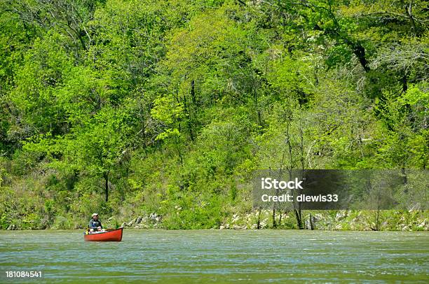 Canoagem No Rio Buffalo - Fotografias de stock e mais imagens de Acampar - Acampar, Adulto, Ao Ar Livre