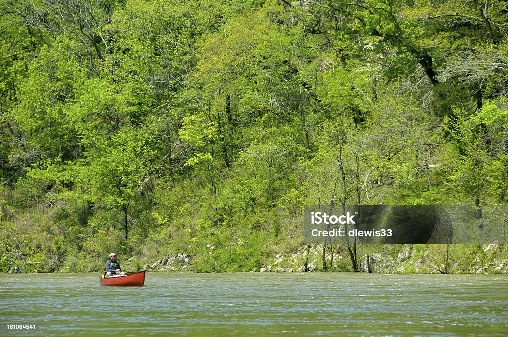 Гребля на каноэ на Река Буффало - Стоковые фото Весло роялти-фри