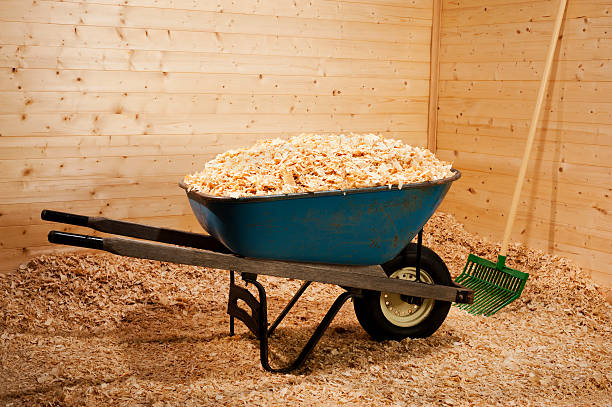 istock New Wood Shavings for Animal Bedding 181085119