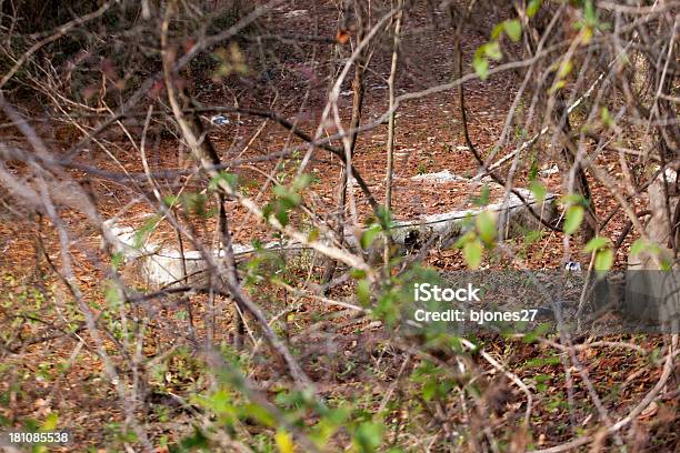 Matress の森 - ゴミのストックフォトや画像を多数ご用意 - ゴミ, ジョージア州, マコン - ジョージア州