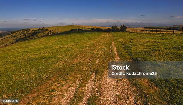 Colinas De South Downs Foto de stock y más banco de imágenes de Actividades recreativas - Actividades recreativas, Agricultura, Aire libre