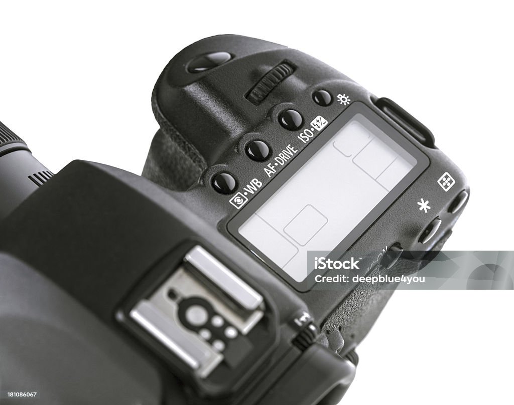 Fotocamera reflex digitale con Display LCD in bianco vuoto - Foto stock royalty-free di Adulto