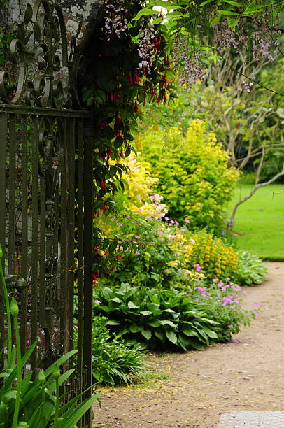 istock Traditional garden, U.K. 181086312