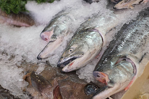 saumon à la vente au marché en plein air - freshness seafood crushed ice salmon photos et images de collection