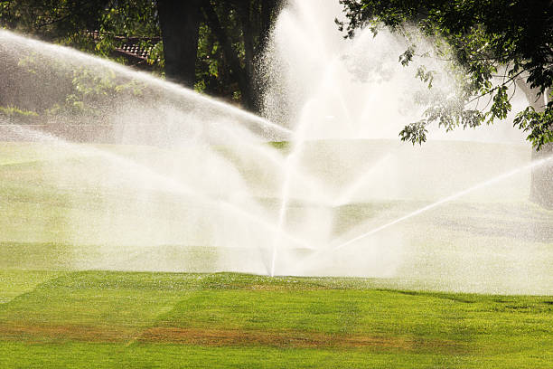 istock Irrigation Sprinklers Spray Cultivated Land 181087734