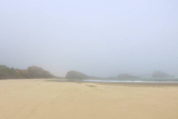 istock Foggy morning on the Pacific coast, landscape. 1810881738