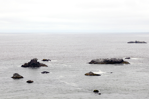 View of the cliffs in the Pacific Ocean. Foggy Oregon