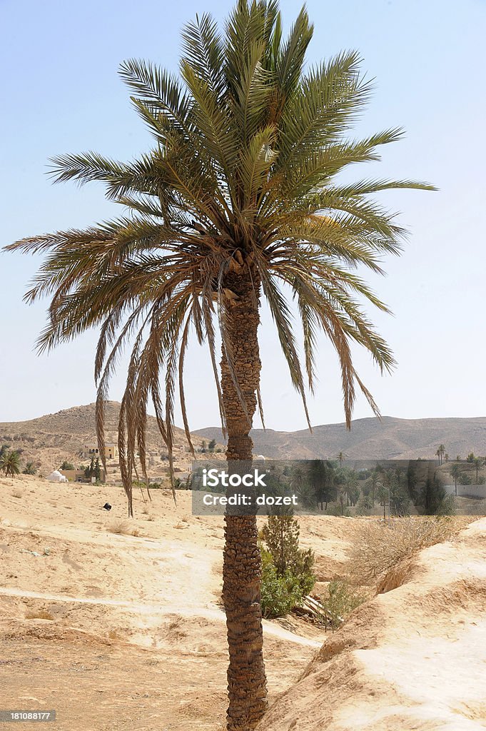 Matmata, Tunisie - Photo de Afrique libre de droits