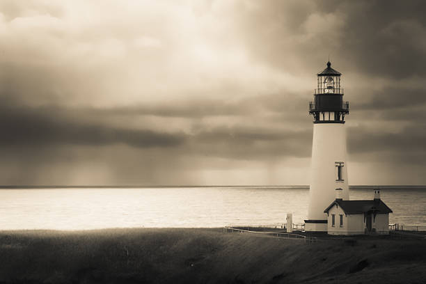 leuchtturm von yaquina head - newport oregon stock-fotos und bilder