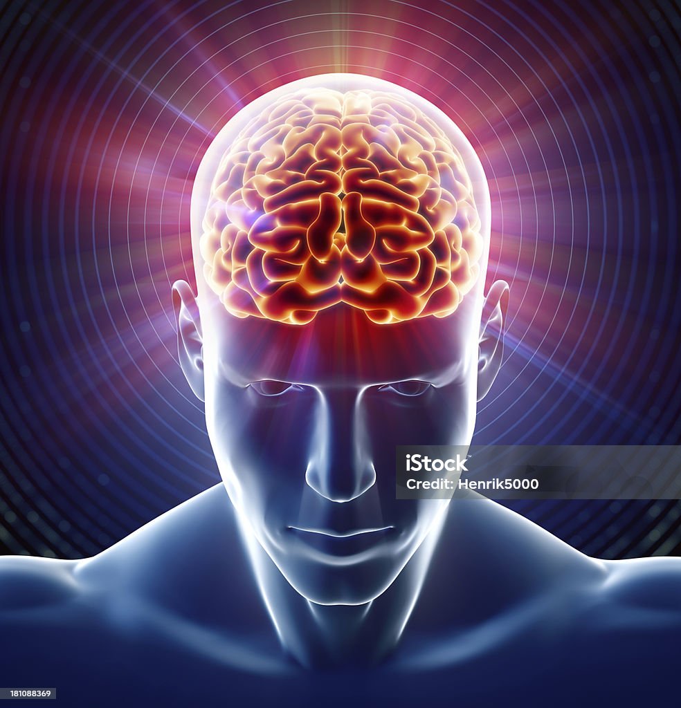 Рентгенография головного мозга - Стоковые фото Мозг человека роялти-фри