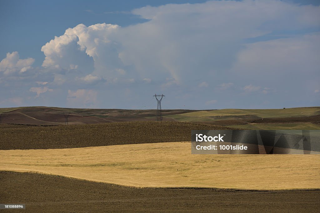 Campo verde e unplowed area - Foto stock royalty-free di Acre