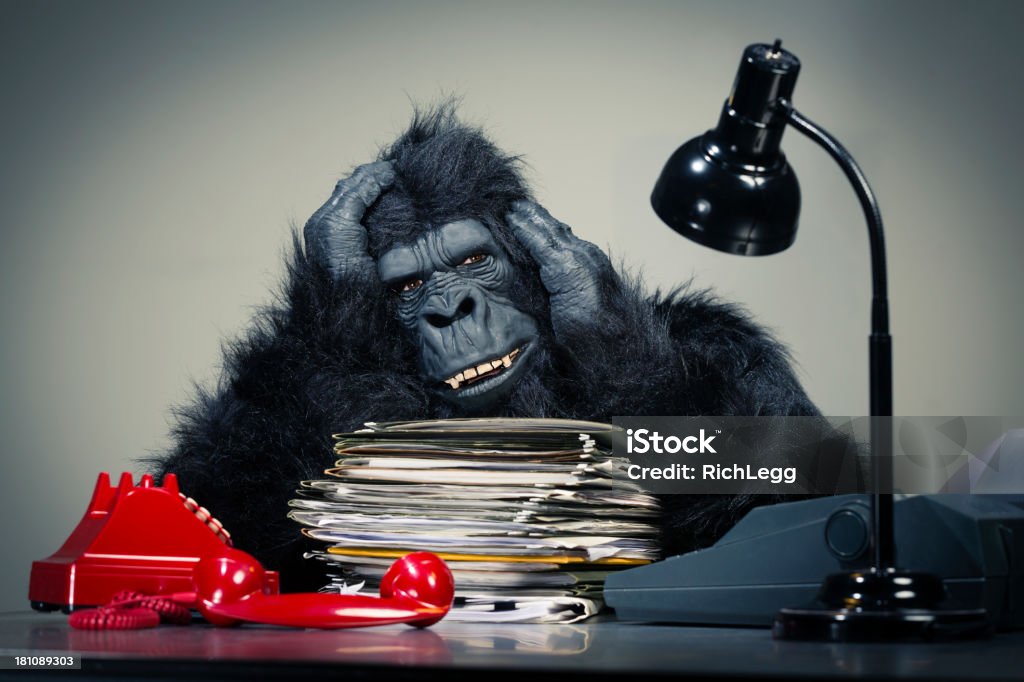 Gorila ejecutivo - Foto de stock de Agotamiento libre de derechos