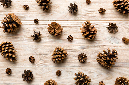pine cones on colored table. natural holiday background with pinecones grouped together. Flat lay. Winter concept.