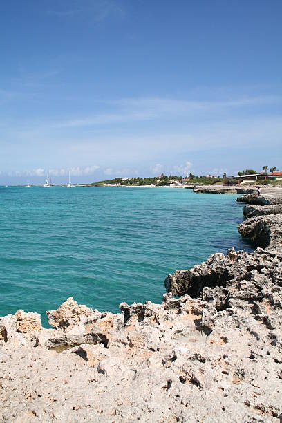 istock Caribbean Coastline in Aruba 181089554