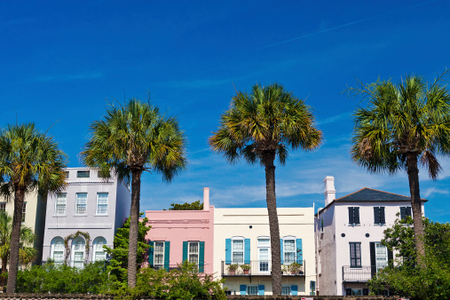 Colorful Homes And Palmetto Palms From Charleston, South Carolina, USA.