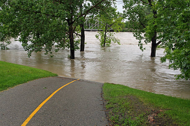 difusión el zoológico de calgary - calgary bridge flood alberta fotografías e imágenes de stock